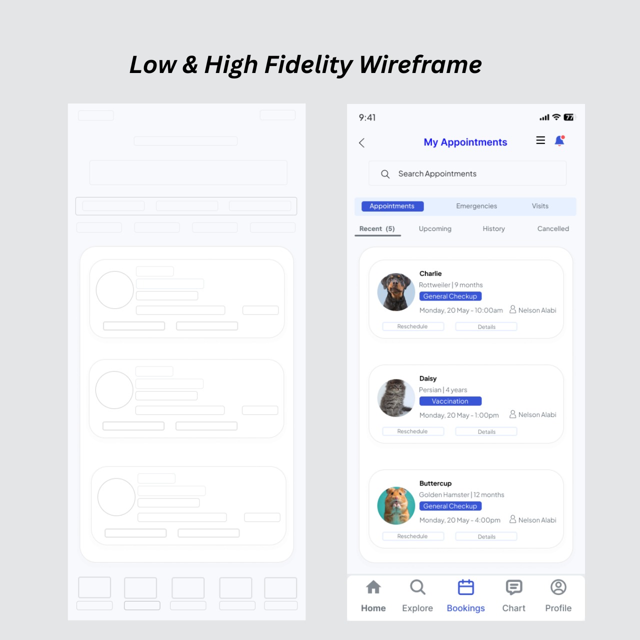 UI Design 1